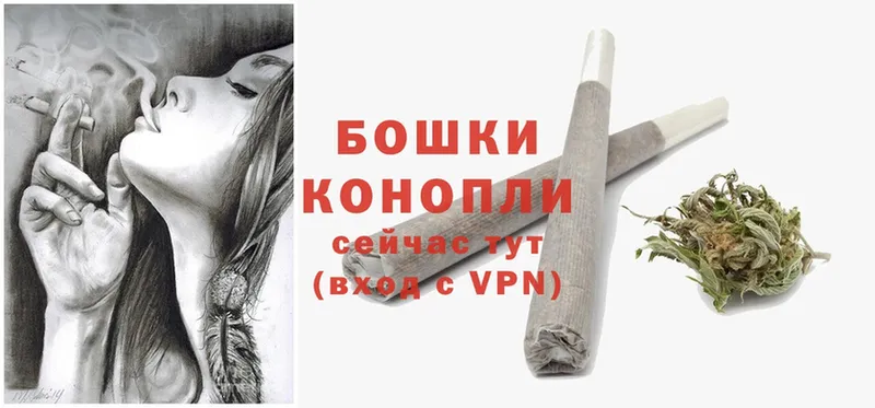 Бошки марихуана THC 21%  Вуктыл 